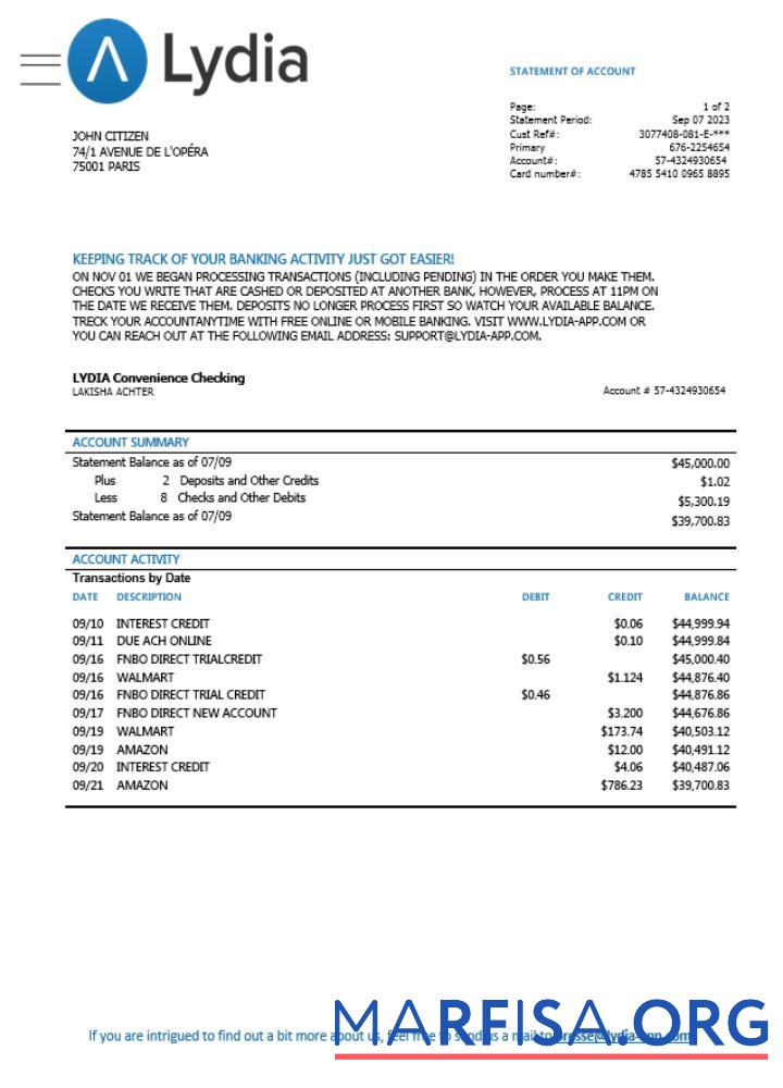 Blank France Lydia Noir bank card statement word example